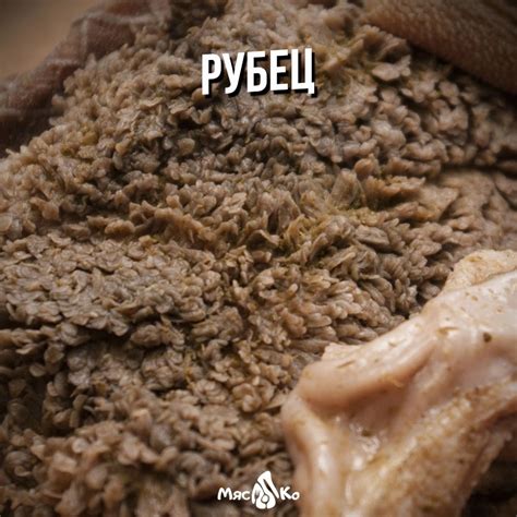 Рубец говяжий купить в СПб