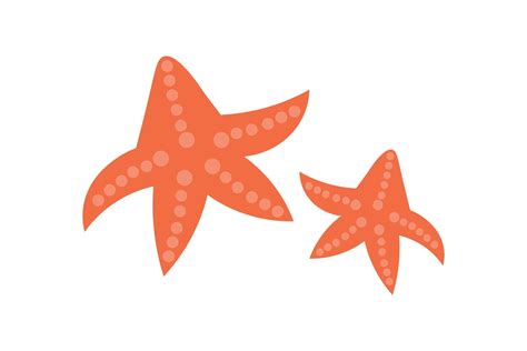 cute starfish vector graphic  astersenna creative fabrica