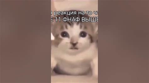 юьуб съел описание и качество - YouTube