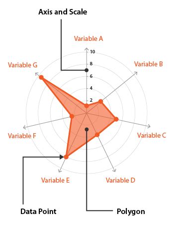 Radar Charts - Learn about this chart and tools to create it