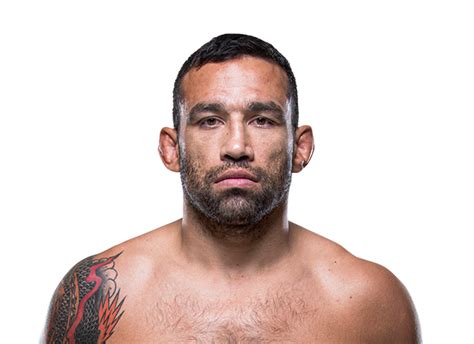 Fabricio Werdum Stats, News, Bio | ESPN