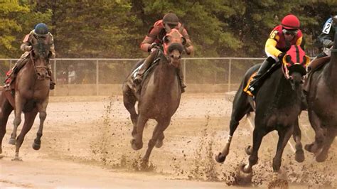 Horse racing in slow motion - running horses - YouTube