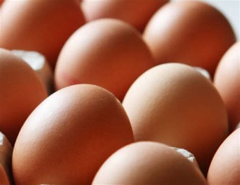 Mehr Höfe in NRW als bisher vermutet im Dioxin-Skandal verwickelt - Kamen