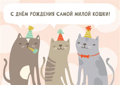 С Днём Рождения Кота - 50 праздничных картинок