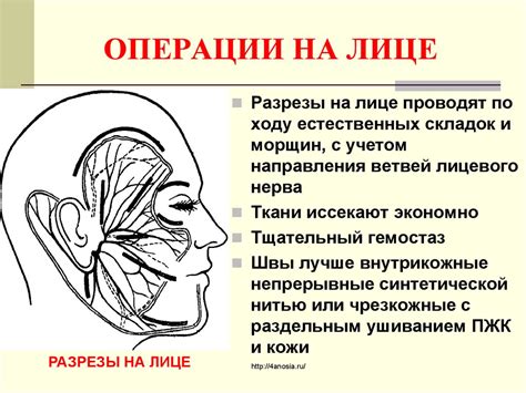Топографическая анатомия и операции на голове. (Лекция 1) - презентация ...