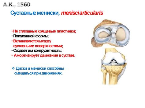 Общая артрология - online presentation