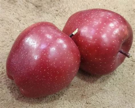 A Grade Kashmiri King Roat Red Delicious Apple at Rs 230/kg in Shopian ...