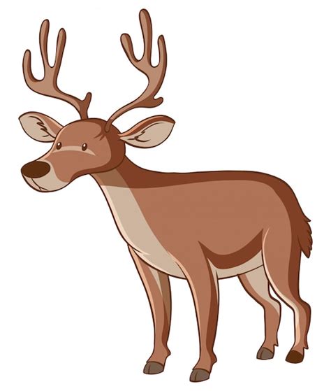 Hirsch clipart-Vektoren und -Illustrationen zum kostenlosen Download ...
