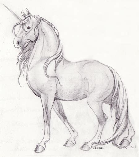 unicorn sketches