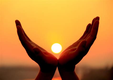 Principles of Healing - Options Naturopathic