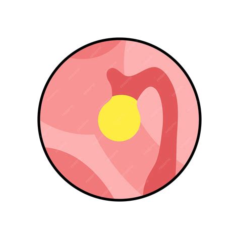 Anatomía de la glándula pineal | Vector Premium