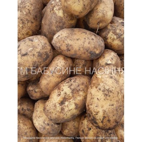 Картопля Коломбо