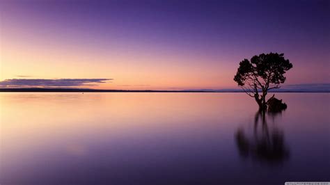 [100+] Soothing Wallpapers | Wallpapers.com