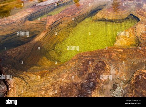 natural rock formations   top  mount roraima  serves