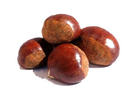 Chestnut 11 Proven Health Benefits & Facts | Drlogy