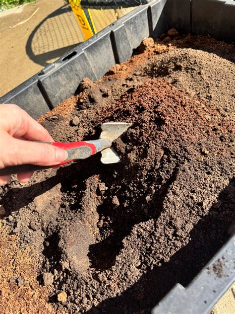 Best Soil Amendments for Container Gardening Success – Elm Dirt