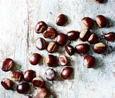 Chestnut - BBC Good Food