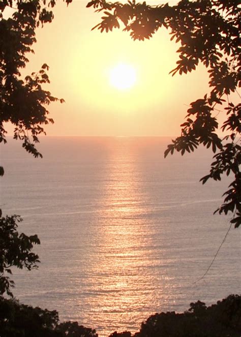 Osa Peninsula Weather - TOURISM INFORMATION CENTER