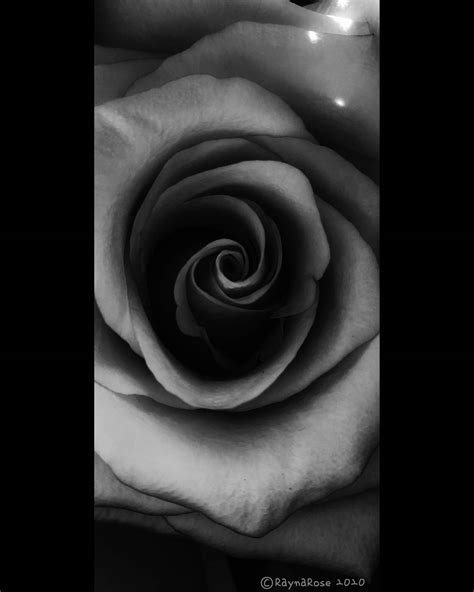 Rayna Rose Photography