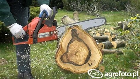 Husqvarna 136 - Obrazek, fotka, zdjecie, photo #641948 - Galeria ...