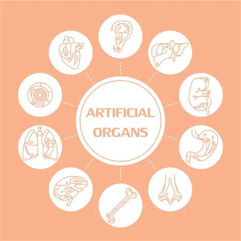 flat icons artificial organs  stock vector  cartoonbased
