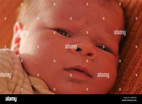 weeks  baby stock photo alamy
