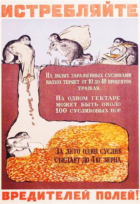 Pin by инна ветрова on плакат | 10 things, Ecards, Memes