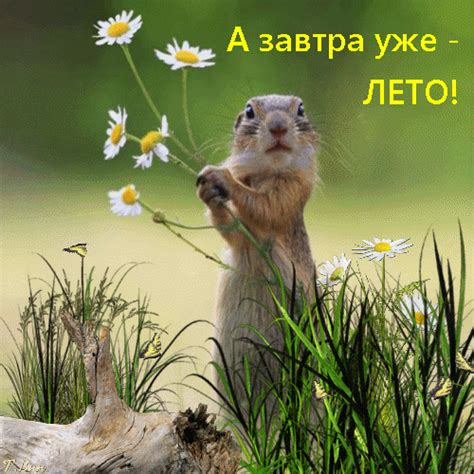 Анимированная открытка А завтра уже - лето!