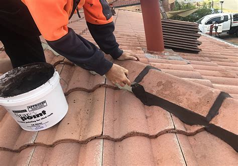 Roof painting | Lake Mac Roof Restorations Swansea
