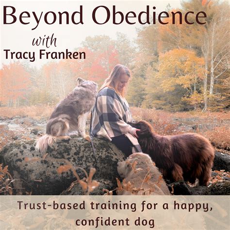 147 | Your Dog's NOT Jealous: Understanding Possession in the Pack