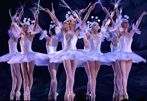 ballet dancers - Ballet Photo (24899683) - Fanpop