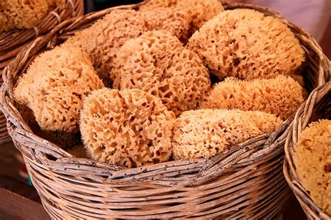 ПІЛІНГИ І ОБГОРТАННЯ – БАННИЙ КЛУБ СТОЛИЧНИЙ