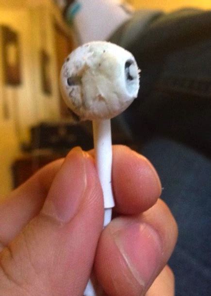 19 Reasons Why You Should Never, EVER Let Anyone Use Your Headphones