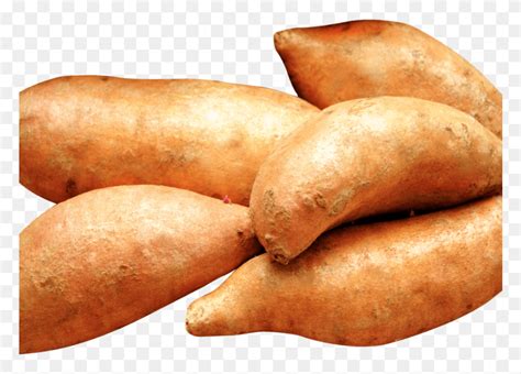 Yams Image Yam, Plant, Bread, Food HD PNG Download - FlyClipart