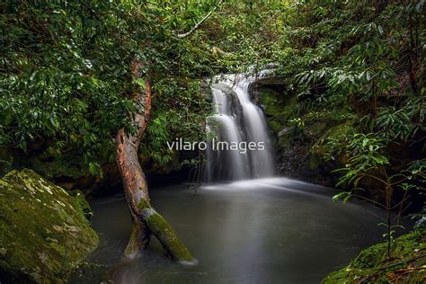 "Sydney Waterfalls - Berowra Creek III" by vilaro Images | Redbubble