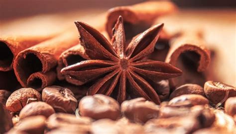 Ricette con Anice | Buonissimo