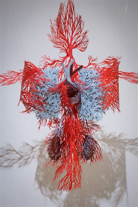 An Interpretation of the Body's Circulatory System in Hand Cut Paper by