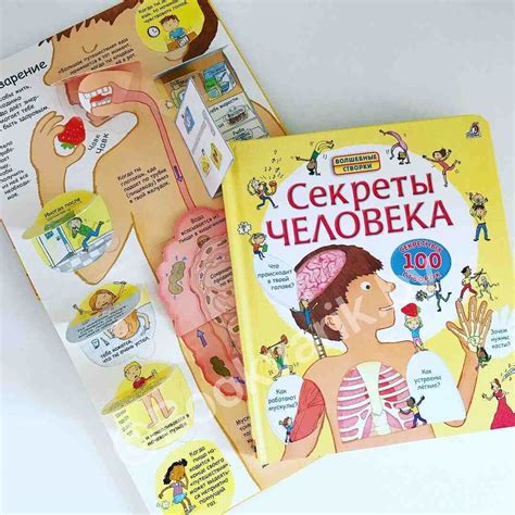 Купить "Секреты человека" за 45 руб. в интернет-магазине детских книг и ...
