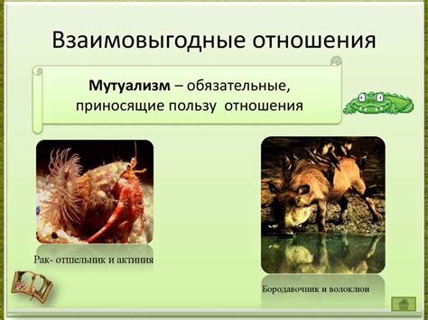 Биотические взаимоотношения организмов - презентация онлайн