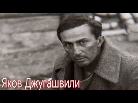 Почему Сталин не спас своего сына из немецкого плена ? И как воевал ...