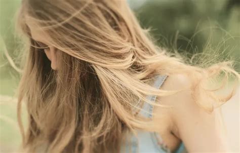 wallpaper girl  wind hair  mobile  desktop section devushki