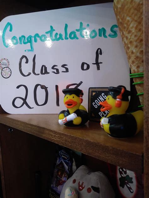 ducks work 10