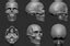 zbrush skull 3d model