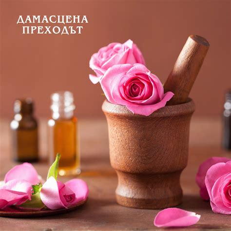 Начало - Етнографски комплекс Дамасцена (Събития)