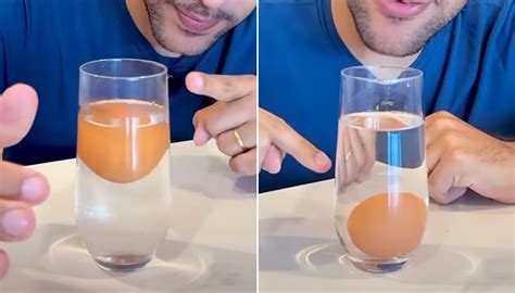Se O Ovo Boiar Ele Está Estragado - Teste do ovo estragado com copo de água: como fazer
