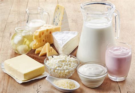 Export of dairy products to Russia JAMnews