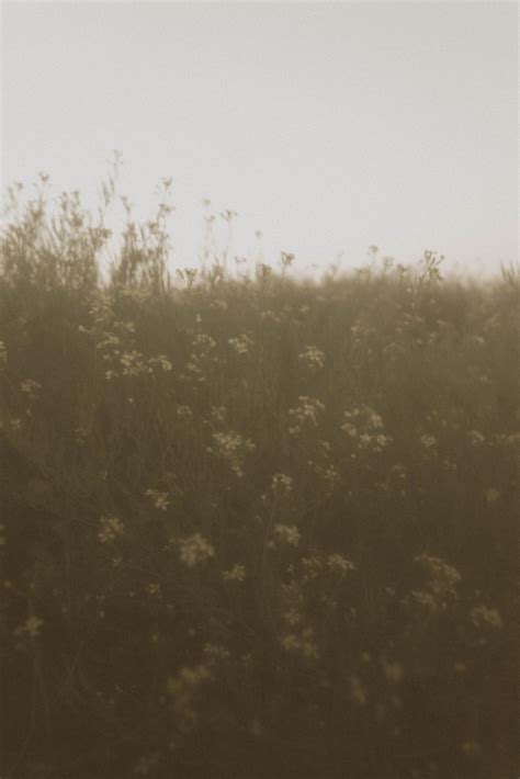 Brittany Nicole Photography