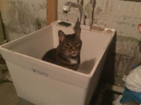 Cleanup time | Scrolller