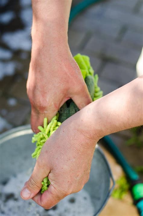 Male Hand Wash Cloth in a Bucket of Water and Foam Stock Image - Image ...