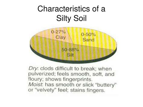 PPT - All About Soil PowerPoint Presentation, free download - ID:1309860